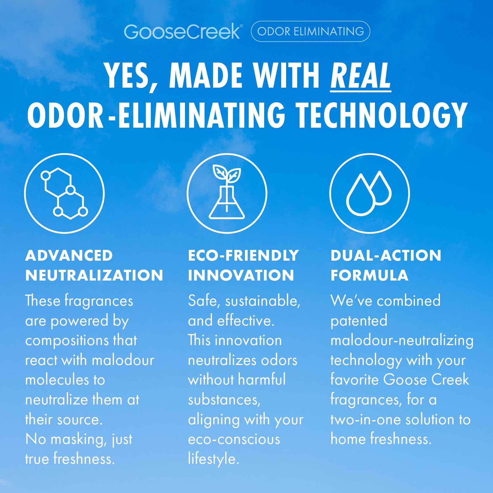 Watermelon Lemonade Odor Eliminating Wax Melt - Image 3